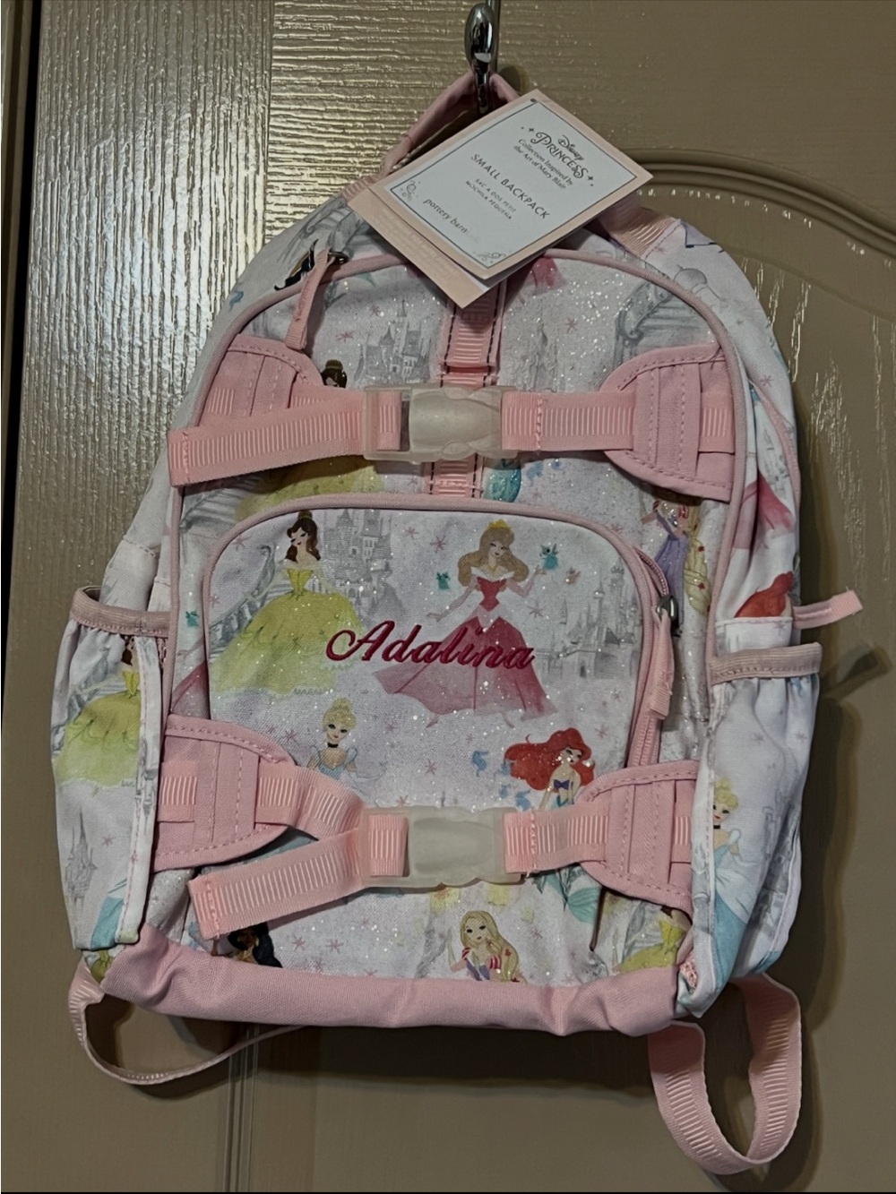 THREE Pieces Pottery Barn Princess backpacks and lunch box